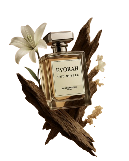 صنسيت كافيه عطر باودر بلو